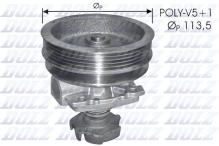 DOLZ S218