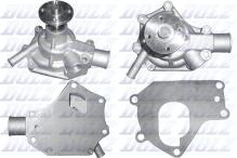 DOLZ T243