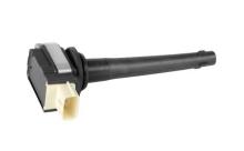 EFI AUTOMOTIVE 155199