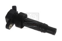 EFI AUTOMOTIVE 155458