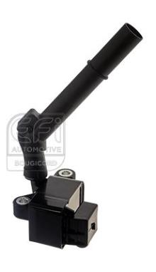 EFI AUTOMOTIVE 155537