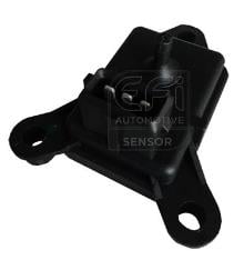 EFI AUTOMOTIVE 291005