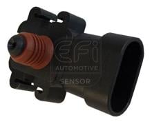 EFI AUTOMOTIVE 291016