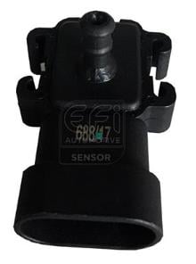 EFI AUTOMOTIVE 291020