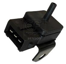 EFI AUTOMOTIVE 291081
