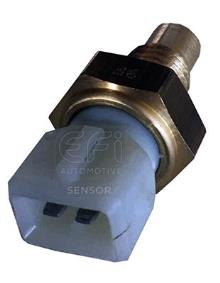 EFI AUTOMOTIVE 295007