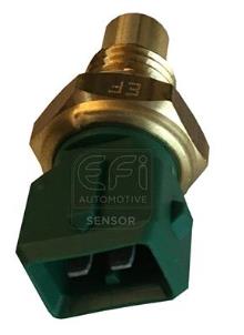 EFI AUTOMOTIVE 295009