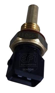 EFI AUTOMOTIVE 295011