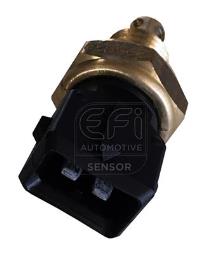 EFI AUTOMOTIVE 295020