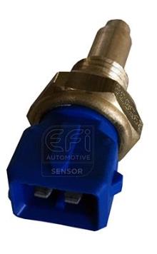 EFI AUTOMOTIVE 295038