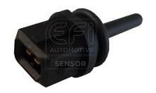 EFI AUTOMOTIVE 295040