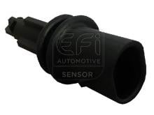 EFI AUTOMOTIVE 295043