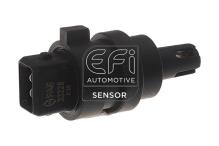 EFI AUTOMOTIVE 295046