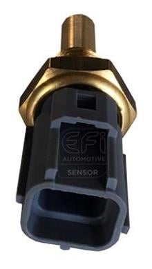 EFI AUTOMOTIVE 295052