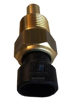 EFI AUTOMOTIVE 295069