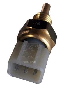 EFI AUTOMOTIVE 295073