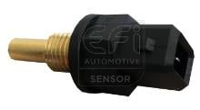 EFI AUTOMOTIVE 295077