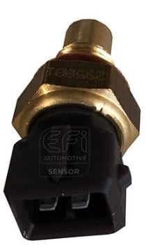 EFI AUTOMOTIVE 295081