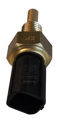 EFI AUTOMOTIVE 295089
