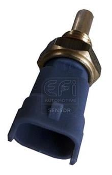 EFI AUTOMOTIVE 295097