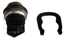 EFI AUTOMOTIVE 295127
