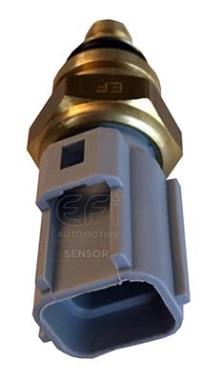 EFI AUTOMOTIVE 295157