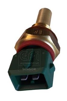 EFI AUTOMOTIVE 295161
