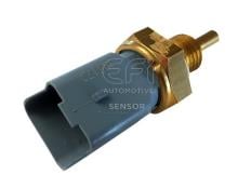 EFI AUTOMOTIVE 295173
