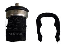 EFI AUTOMOTIVE 295175