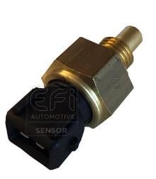 EFI AUTOMOTIVE 295177