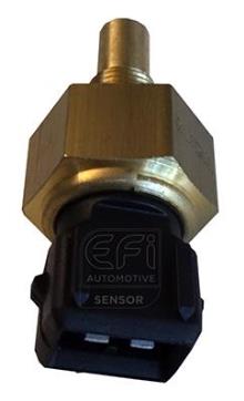 EFI AUTOMOTIVE 295178