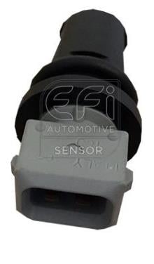EFI AUTOMOTIVE 295196