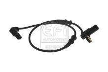 EFI AUTOMOTIVE 302051