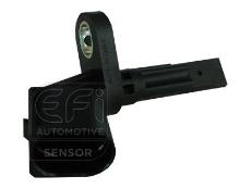 EFI AUTOMOTIVE 302089