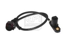 EFI AUTOMOTIVE 302173