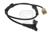 EFI AUTOMOTIVE 302179