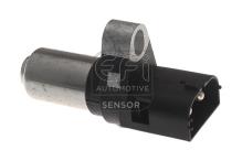 EFI AUTOMOTIVE 302202