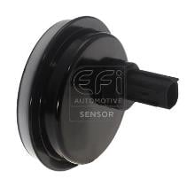 EFI AUTOMOTIVE 302431