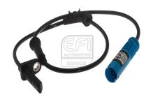 EFI AUTOMOTIVE 302450