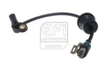 EFI AUTOMOTIVE 302452