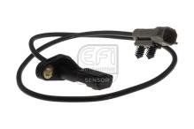 EFI AUTOMOTIVE 302461
