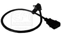 EFI AUTOMOTIVE 303013