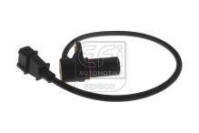 EFI AUTOMOTIVE 303054