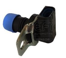 EFI AUTOMOTIVE 303079