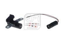 EFI AUTOMOTIVE 303083
