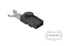 EFI AUTOMOTIVE 303153