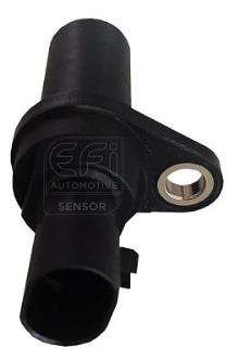 EFI AUTOMOTIVE 303183