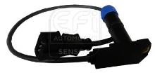 EFI AUTOMOTIVE 303194