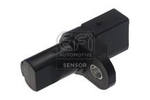 EFI AUTOMOTIVE 303211