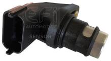 EFI AUTOMOTIVE 303213